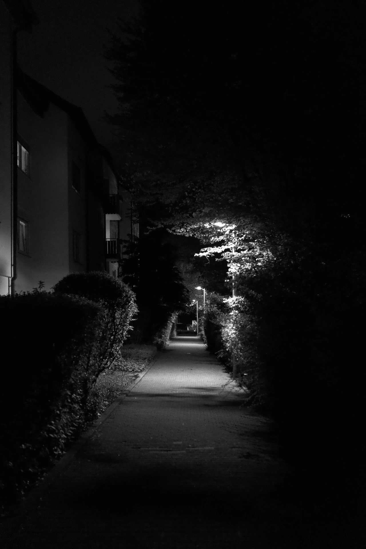 Black and white photo of a walkway at night. A few lamp posts light the scenery. The first one is behind a tree.