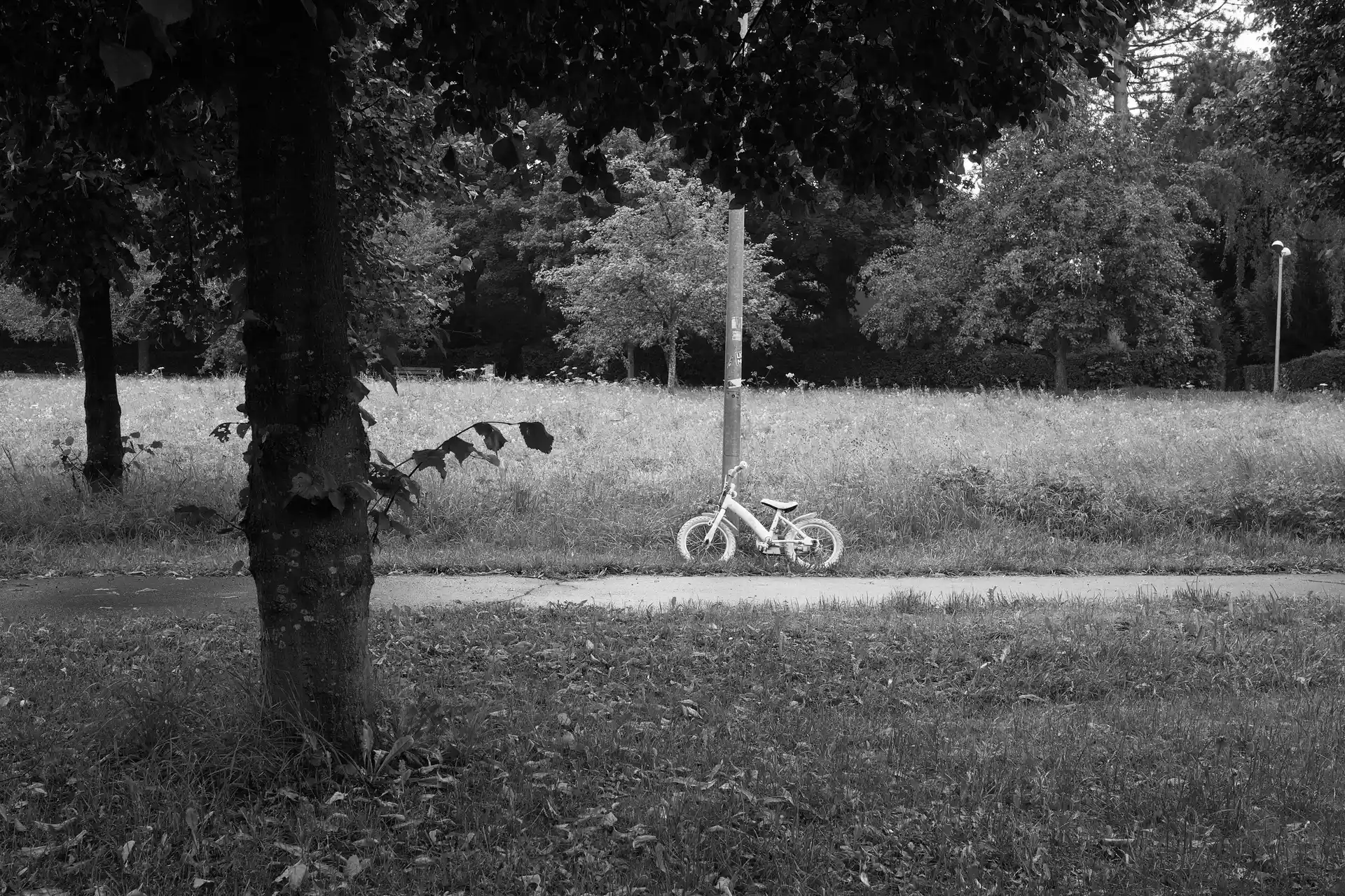 A small children bicycle leaned against a street lamp post in a park. No child is visible.