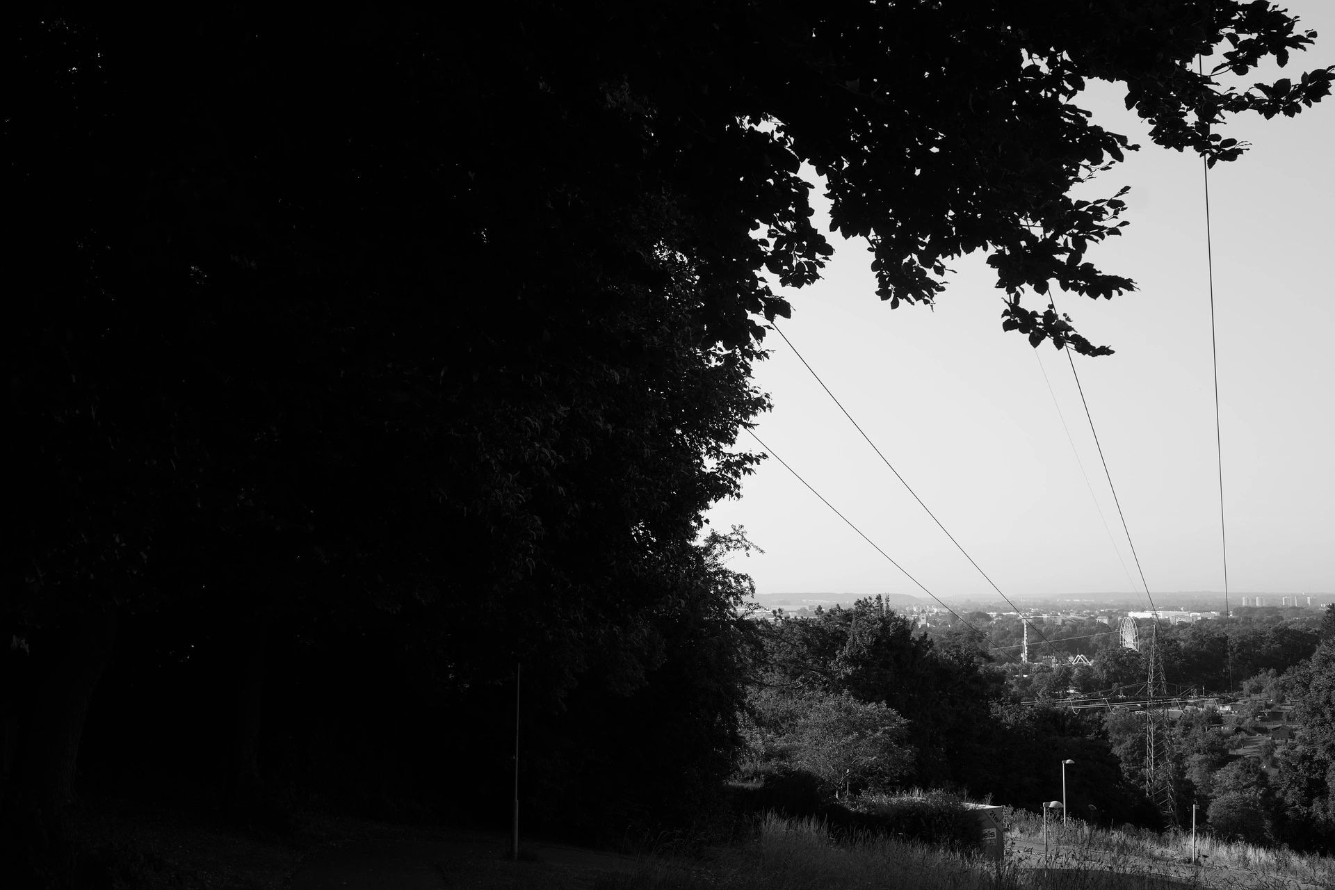 View from a hill towards a part of ulm, especially the festival ground. Most of the view is blocked by trees.