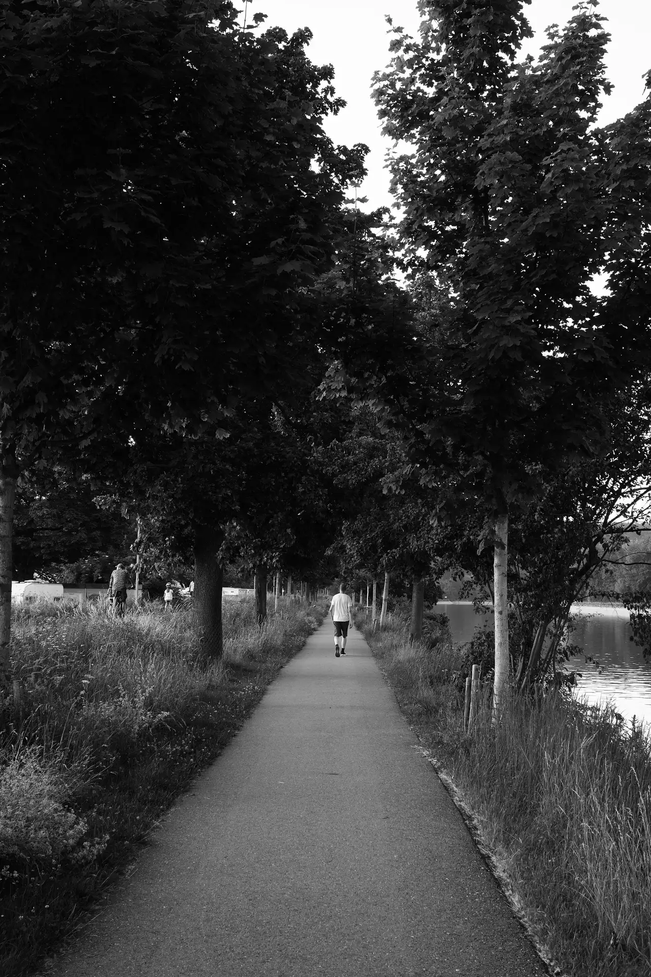 Black and white shot of a runner with a white shirt framed by smaller trees on a pedestrian way.