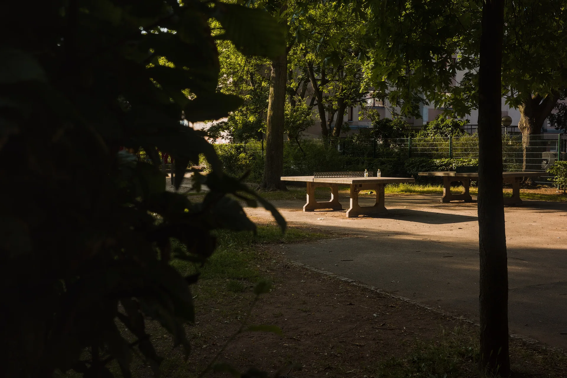 A concrete ping-pong table with to water bottles on top of it. Framed by a hedge to the left and a tree trunk on the right.