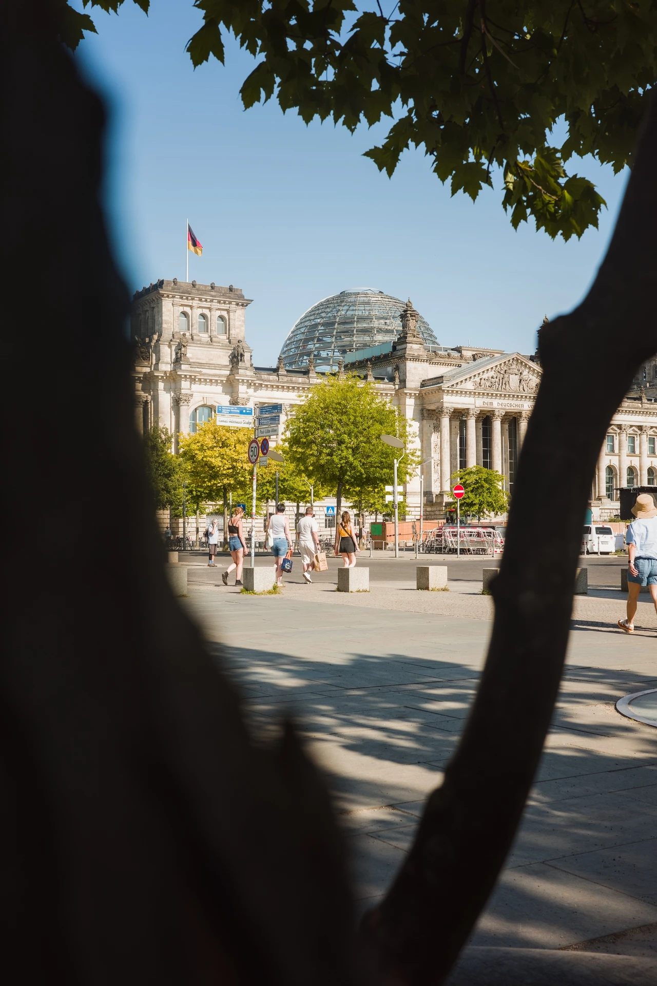 The Reichtag building frame by a tree using its trunk on the left, a larger branch on the right and leaves on top.