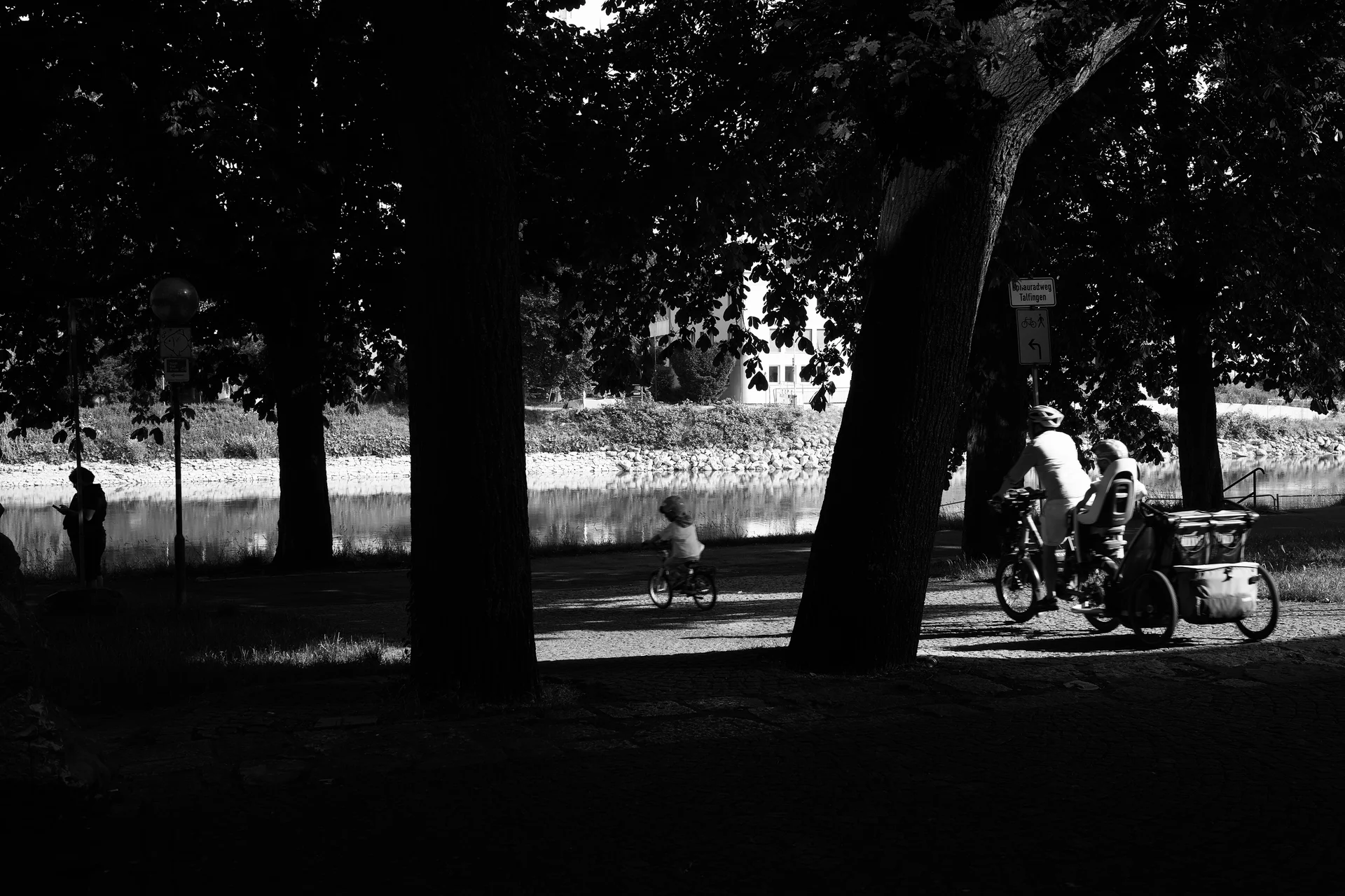 Black and white shot of a bunch of tree trunks separating and framing a child on a small bicycle and behind a person on a bicycle with a children trailor.
