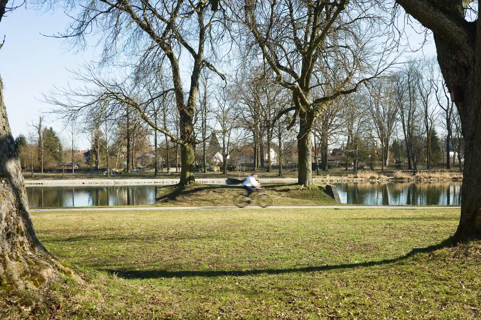 Picture of blurred (due to the slow shutter speed) bicyclist driving though a park. They are framed by trees and in the background is a river.