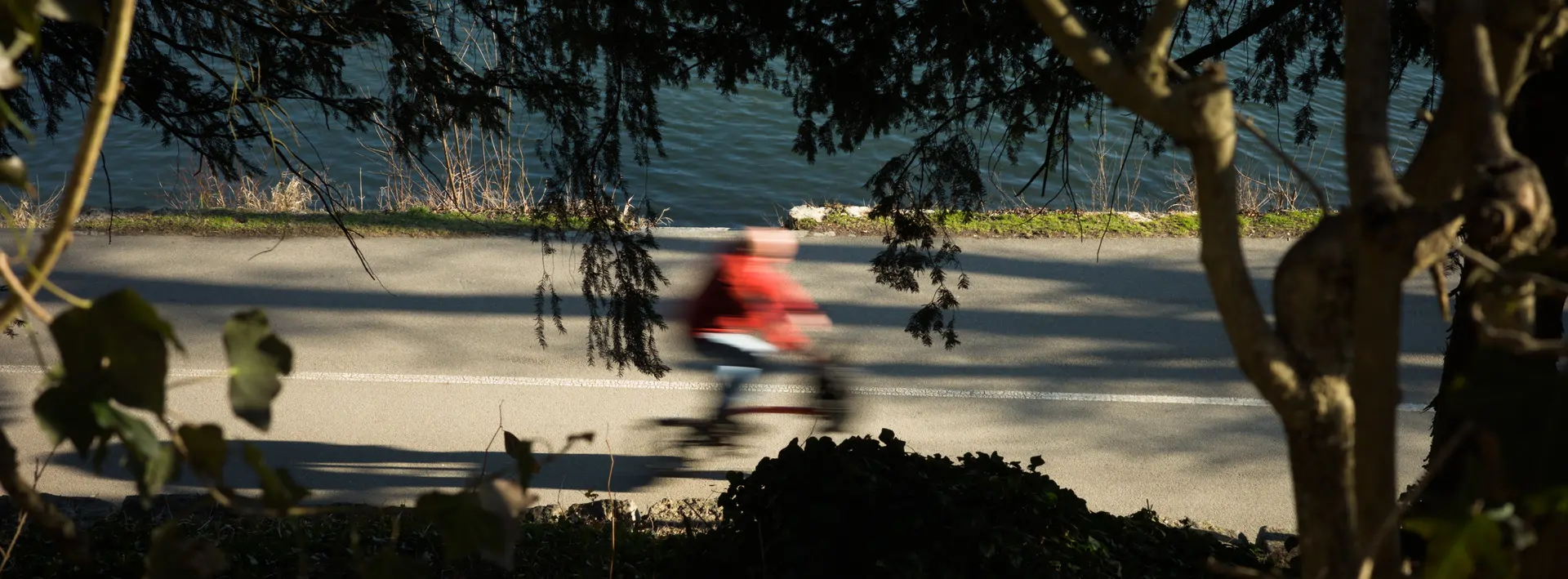Picture of a person with a red jacket on a bicycle framed by trees and bushes. The person is very blurred due to the slow shutter speed.