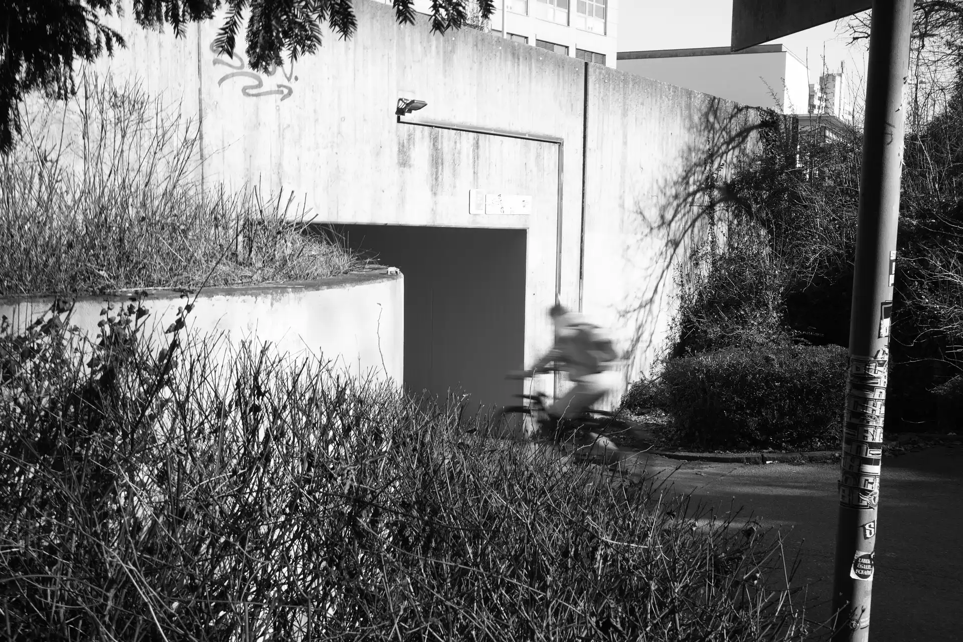 Picture of a cyclist driving into an pedestrian underpass with bushes in the foreground. The cyclist is very blurred due to slow shutter speed.